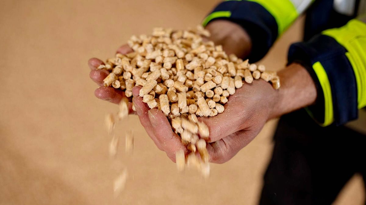 Neova Groupin Ylistaron tehtaassa valmistetaan puupellettiä kuivikkeeksi, mutta tällä hetkellä tilausten toimittamisessa on jonoa.