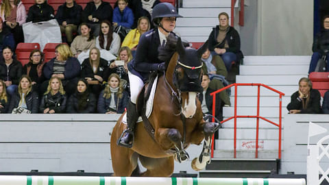 Ei Helsinki Horse Show'ta tätä vuonna.  