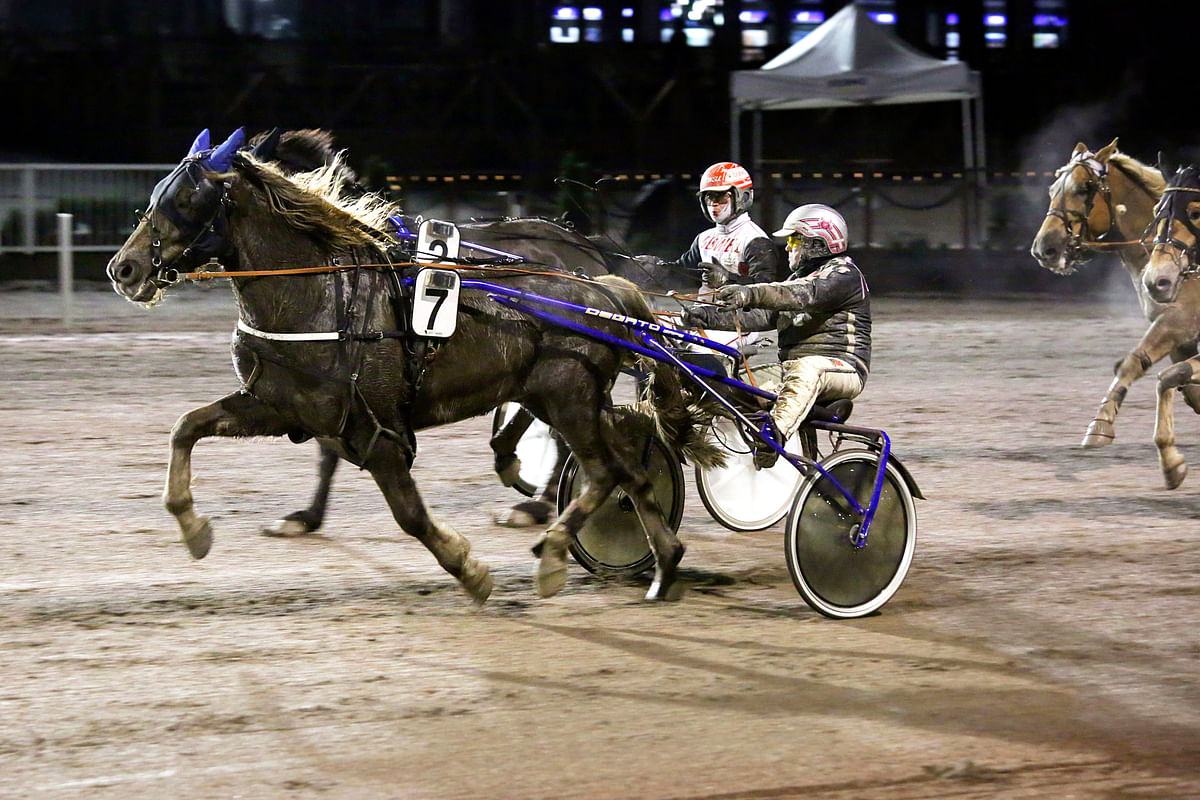Kuvassa Rallin Muistoa ohjastaa Antti Teivainen, mutta keskiviikkona hevosen kyytiin nousee viime starttien tavoin Ari Moilanen.
