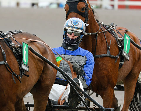 Mats Havulehto ajaa hevosia työkseen ja vapaa-ajallaan.