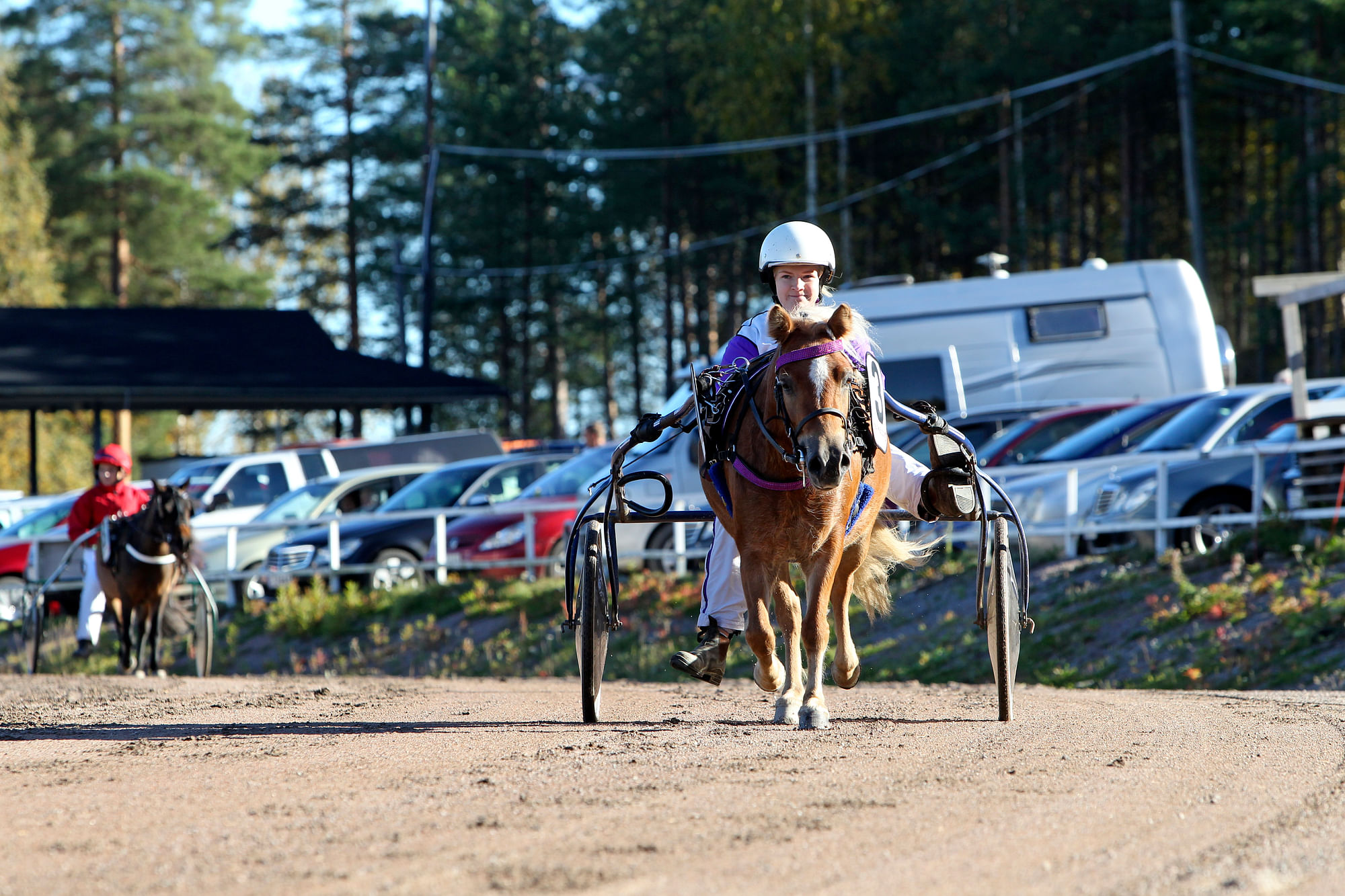 raviharrastajan polku tasaisemmaksi