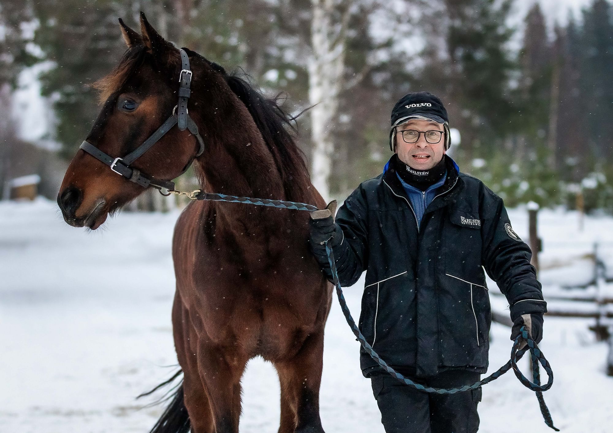 Jorma Tiilikaisen valmentama Downshifter on kulkenut viime aikoina hienosti.
