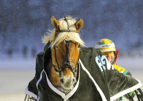 Rokin Maxi ja Teemu Okkolin.