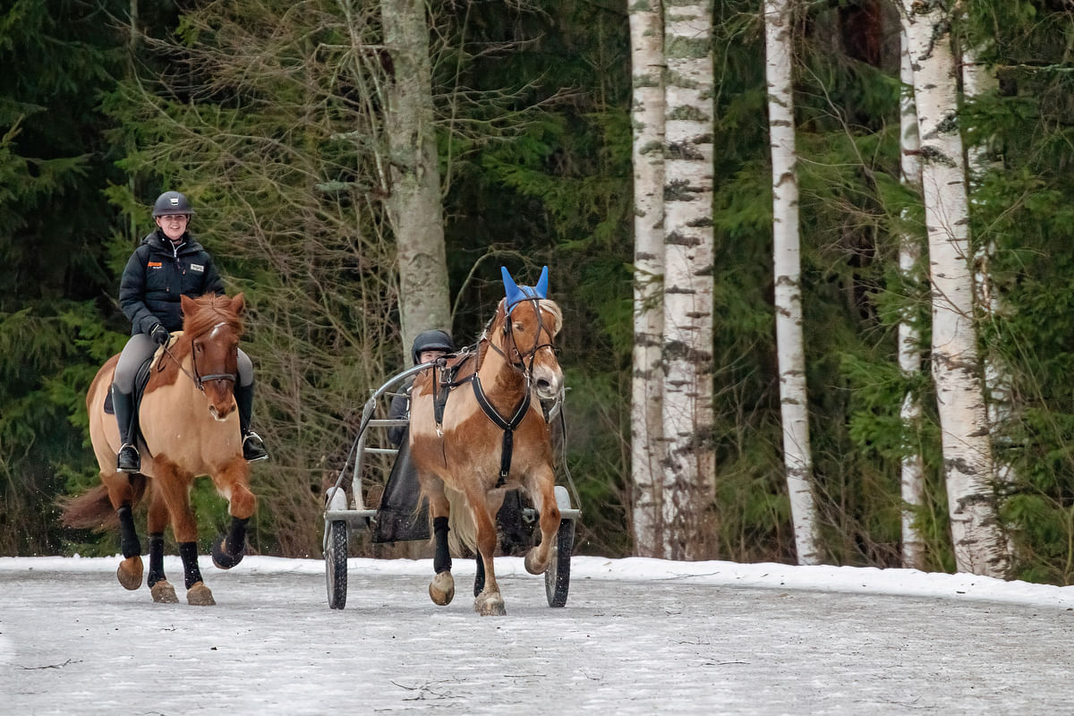 Salpaus kouluttaa hevosalan ammattilaisia. Kuvassa Milla Salo Tuli Nopsan selässä, edellä Henna Euksela ja Lumilinko.