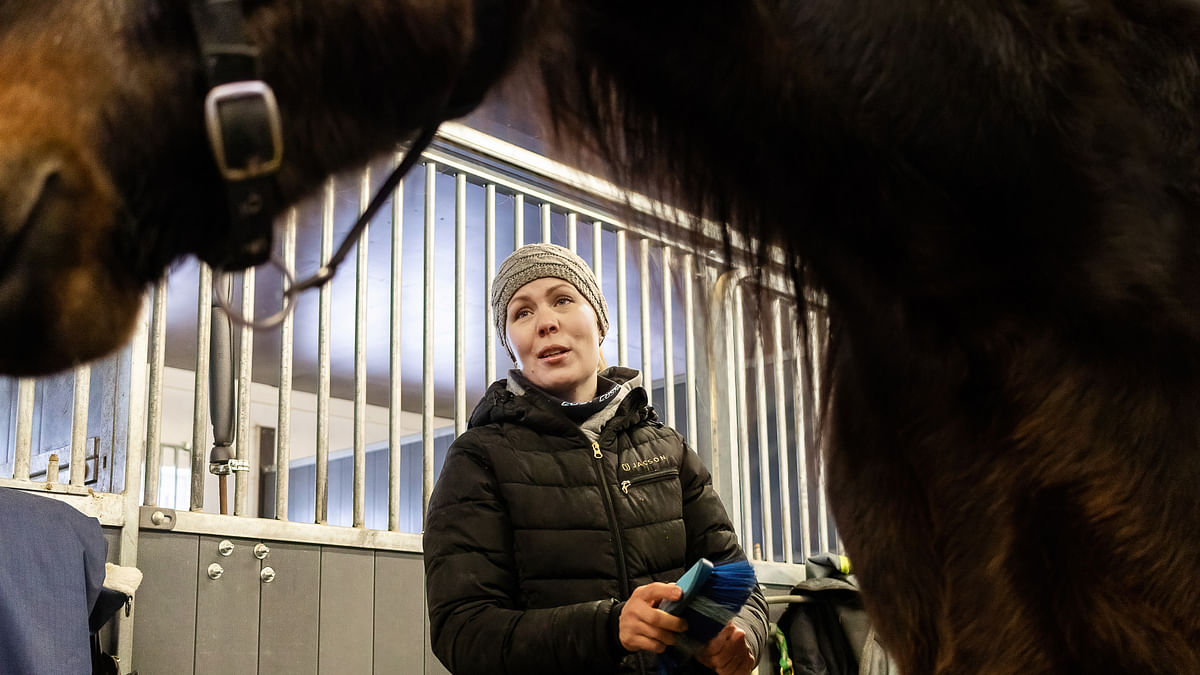 Ammattivalmentajat ovat hinnoittelussa takamatkalla – näin paljon ravivalmennuksen pitäisi maksaa
