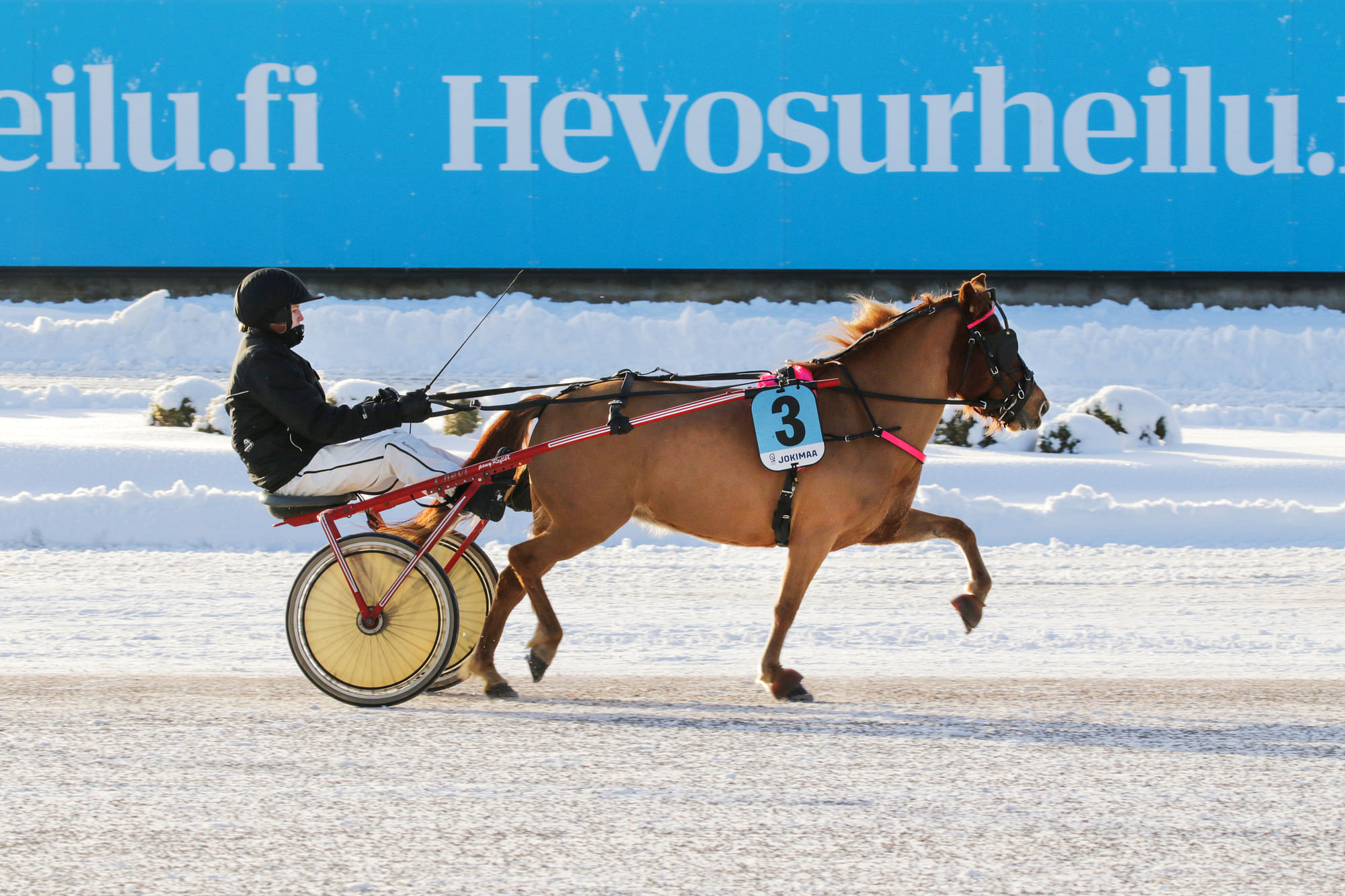 Ravigaala-päivän ensimmäiset palkittavat Pantera ja Nanna Eerola.