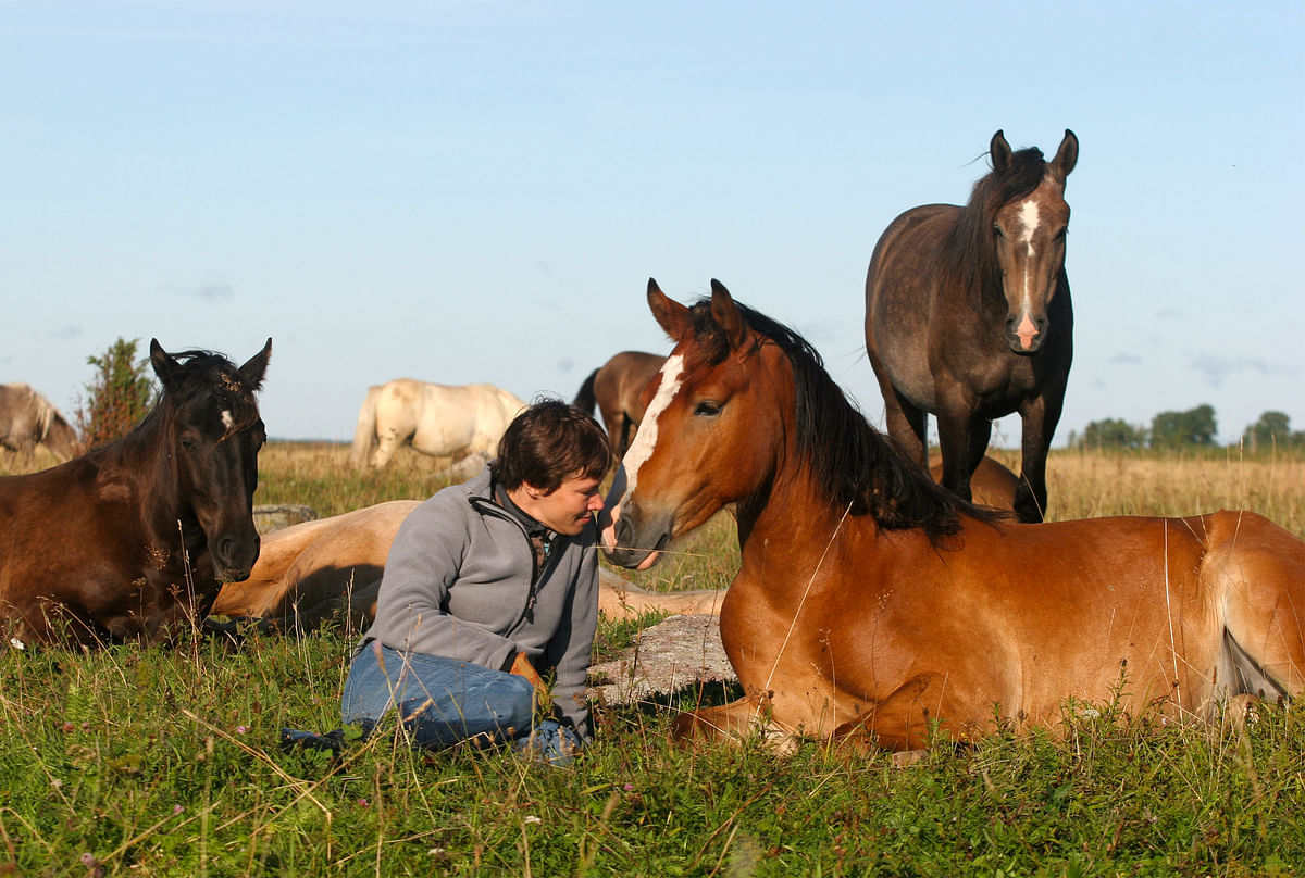 Tuire Kaimio toivoo, että ihmisillä olisi aikaa tutustua hevoseen eläimenä.