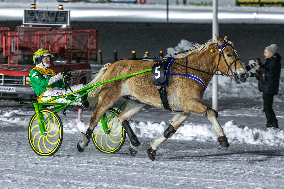Tim Tetrick ajoi Pikku-Rytin voittoon vuoden 2019 Arctic Horse Race -raveissa. 