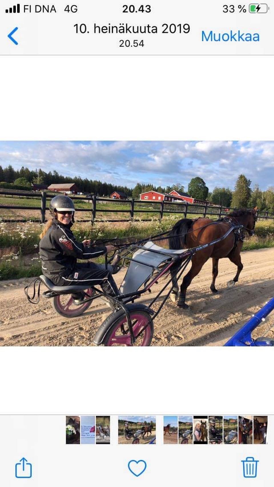 Ja kun välillä pääsee hevosen kärryille, se pitää tallentaa kännykkään.
