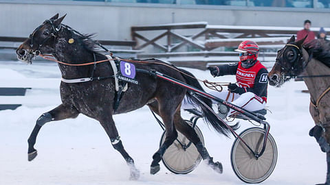 Endless Story kohtaa hurjan EL Indeedin. Vihjeessä luotetaan Pirjo Miettusen valmennettavaan.