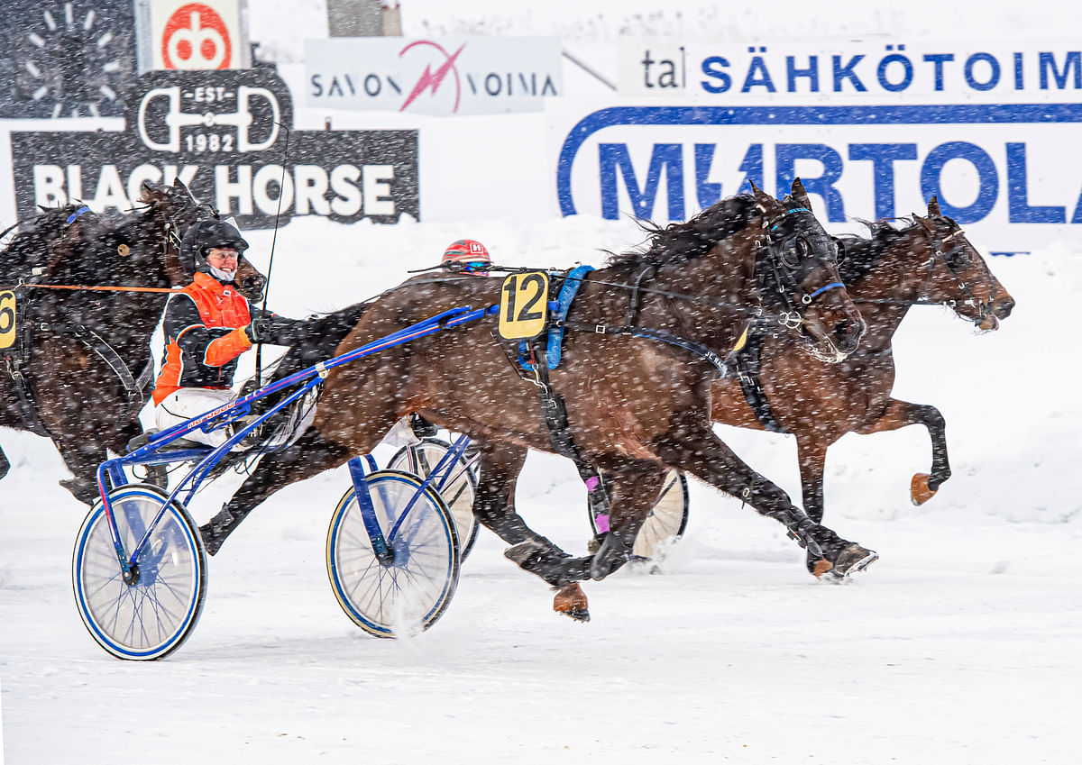 Alladin Bro yllätti totopelaajat pahanpäiväisesti useampaan kertaan. Kuvassa Maria Kurttila nauttii rattailla "Allun" kirmatessa viime helmikuussa Kuopiossa 75-voittoon vain 0,3 prosenttia pelattuna.