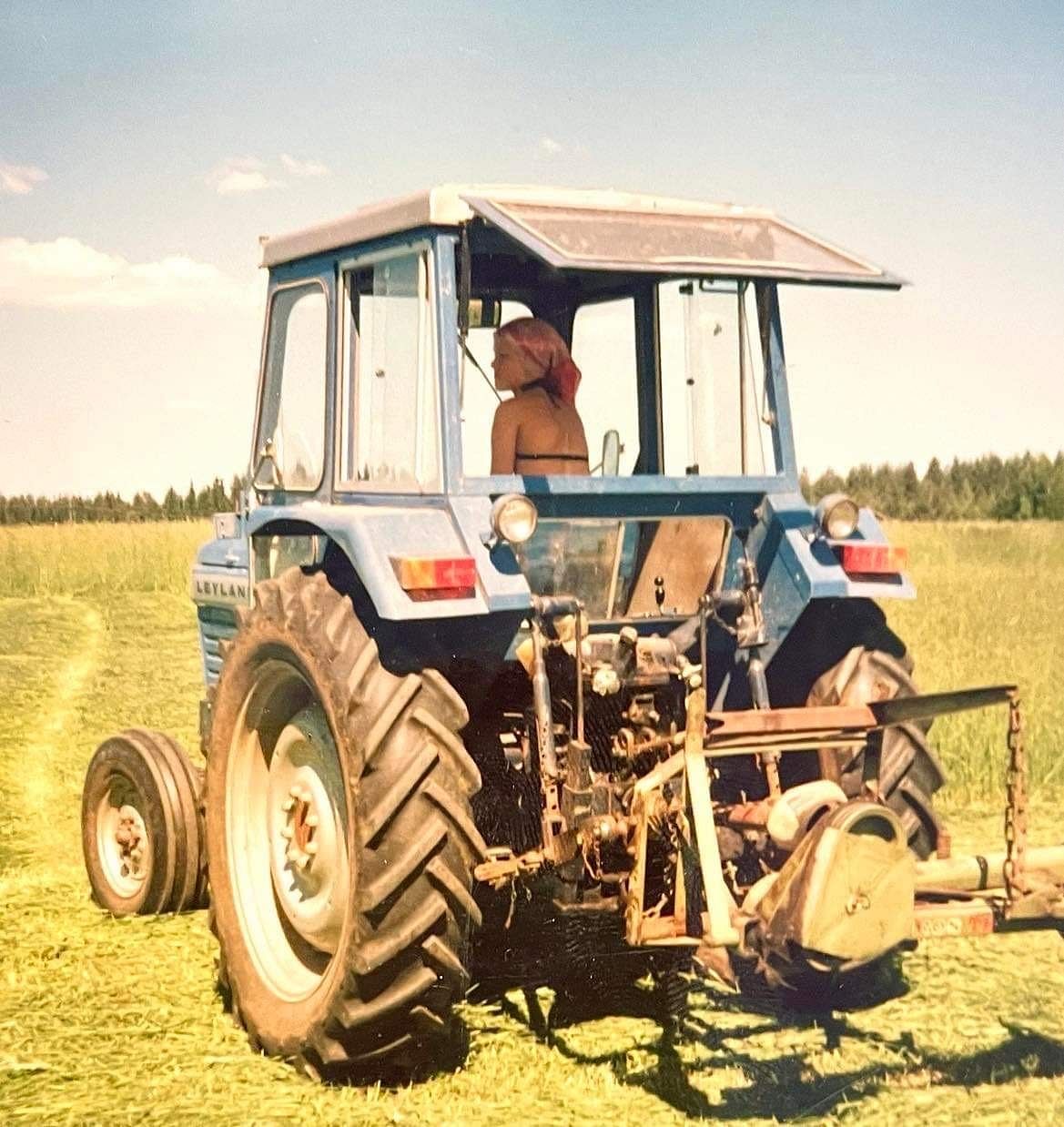 Heinän kaadossa vuonna 1980.