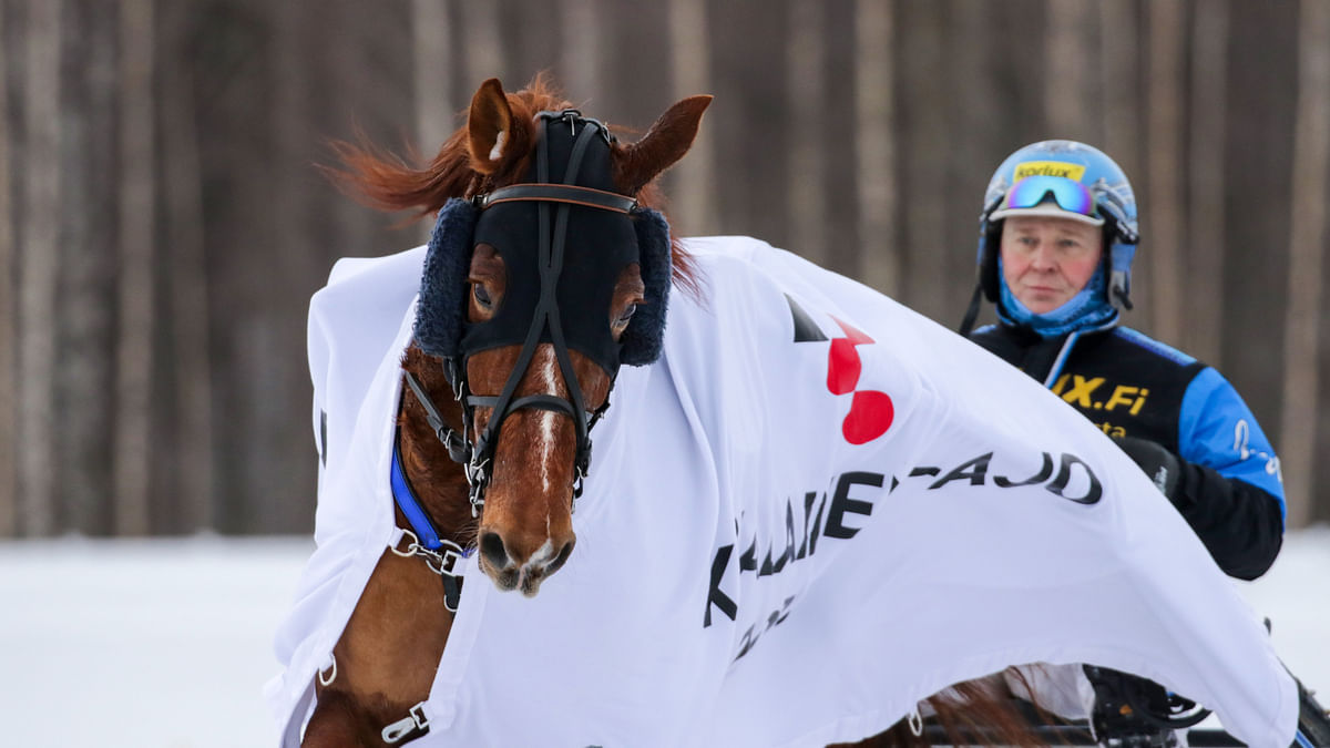 Morison kippari Juha Utala suitsutti hevosta ja valmentajaa taiston tauottua.
