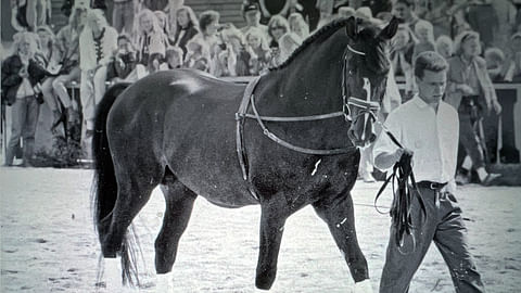 Jykke Malmström esittää Matadoria yleisölle 1990-luvun alussa. 