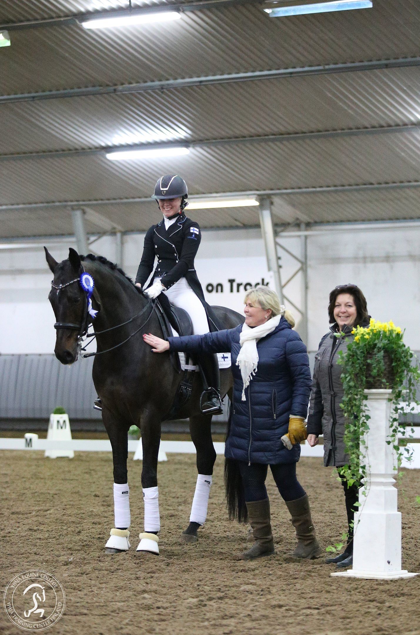 Shania on junioriluokkin hevonen.