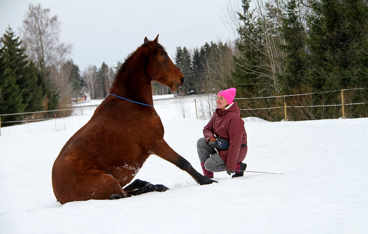 Elena Molchanova ja PRE-hevonen Ivan, joka oppi helposti istumaan.