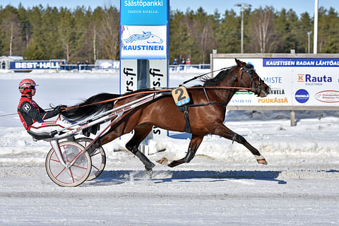 Mandela Zon on maanantain Toto5-kierroksen varmin voittaja. Seinäjoen ravit alkavat vasta klo 19, ja ensimmäinen Toto5-kohde starttaa klo 20.10.