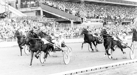 Leander Blue Chip ja Heikki Korpi kirivät selvään voittoon vuoden 1983 Sweden Cupissa. Dimma (8) on toinen ennen sisäradan Nevele Feveria ja ulommaisena kirivää Mastodontia.