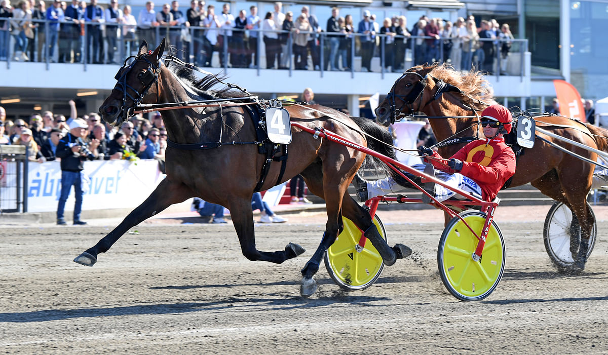 Joviality voittaa Åbyssä Drottning Silvias Pokalin.