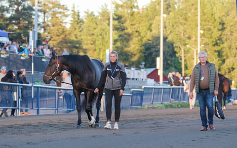 Önas Prince on nähty myös Kymi GP:ssä.