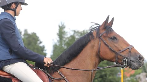 Eolitalle lähdettiin hakemaan Drammenin jälkeen itseluottamusta. 