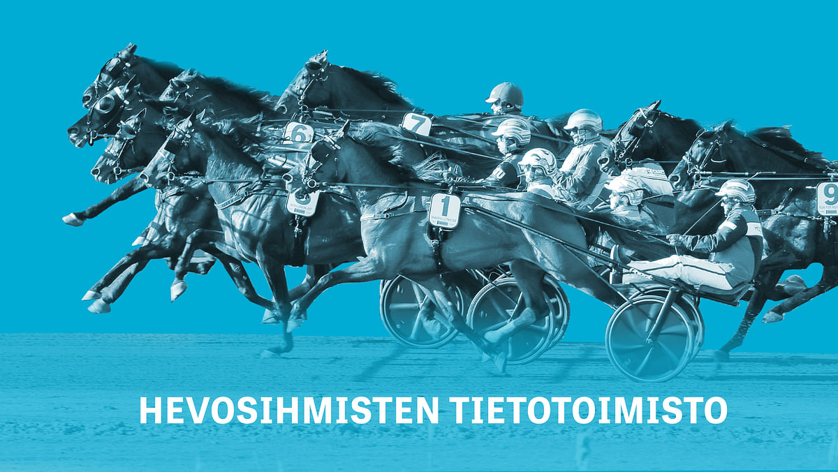 Hevosurheilu.fi palvelee, vaikka jakelussa ilmenisi viivettä.