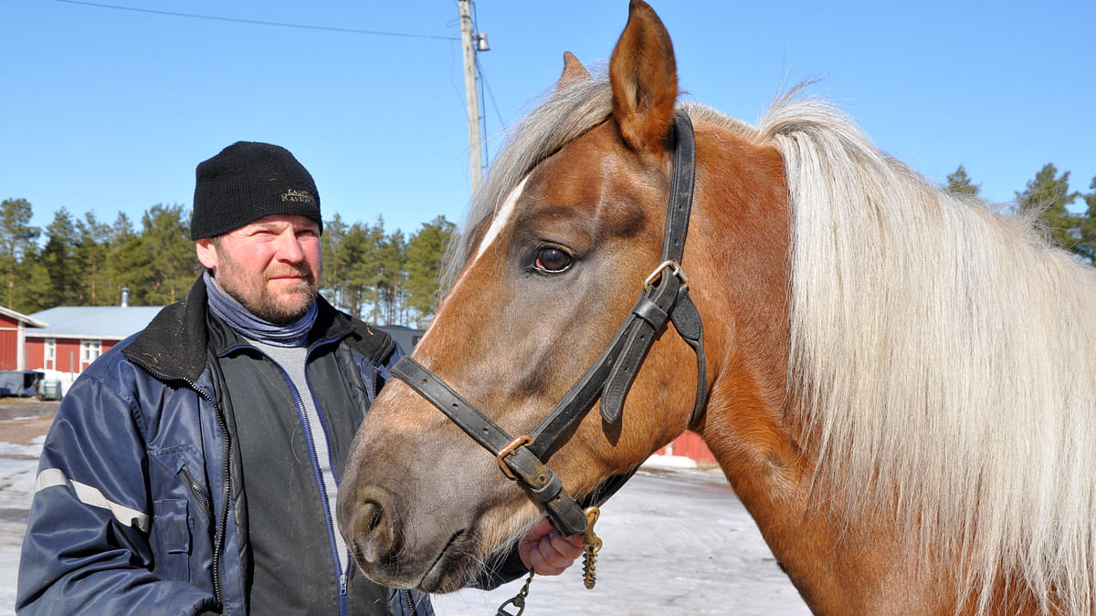 Fiktus ja Juha-Matti Paavola hakevat vielä kauden rytmiä, mutta hevosen kyvyt tiedetään.