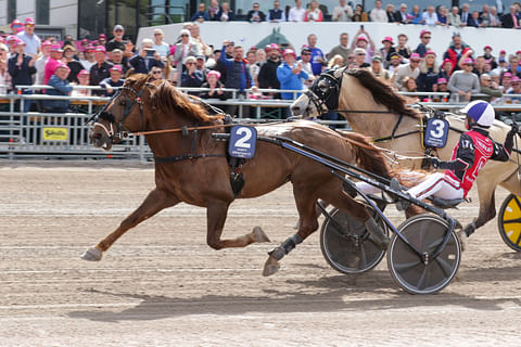 Evartti voittaa Elitkampenin. Tangen Bork ja Parvelan Retu ovat seuraavina. 