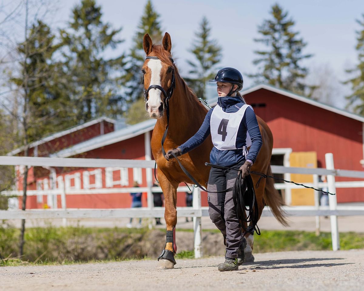 Lahden Jokimaalla kilpailtiin tällä viikolla hevosenhoitajien SM-mitaleista Taitaja2023-tapahtumassa.