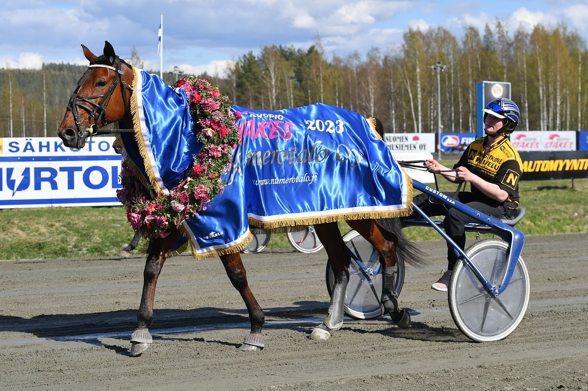 Hannu Nivolan kasvattama ja Heikki Korhosen omistama Callela Nelson on tämän vuoden Kuopio Stakesin sankari. Edelliset voittajat ovat Imperator (2022), Magical Princess (2021) ja Mascate Match (2020).