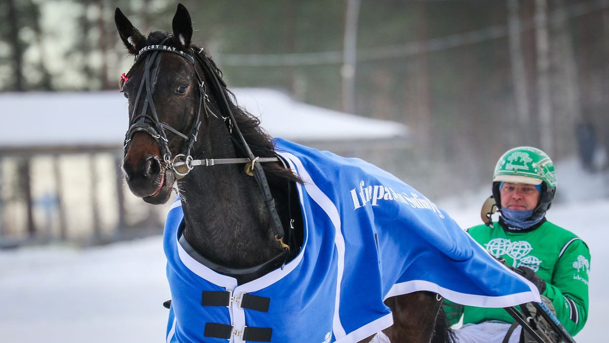 Shelby Rayta juhlittiin Toto75-voittajana tammikuussa 2022.