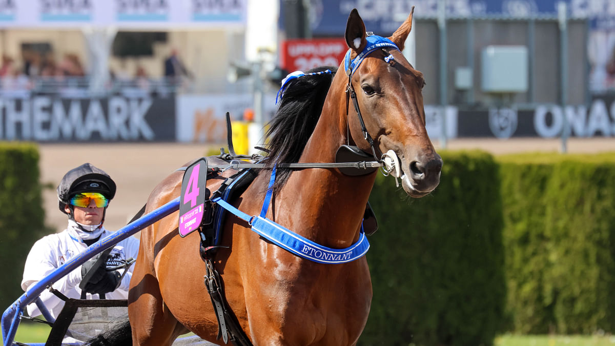 Lisää kovia ranskalaishevosia ehdolla Kymi Grand Prix'hin