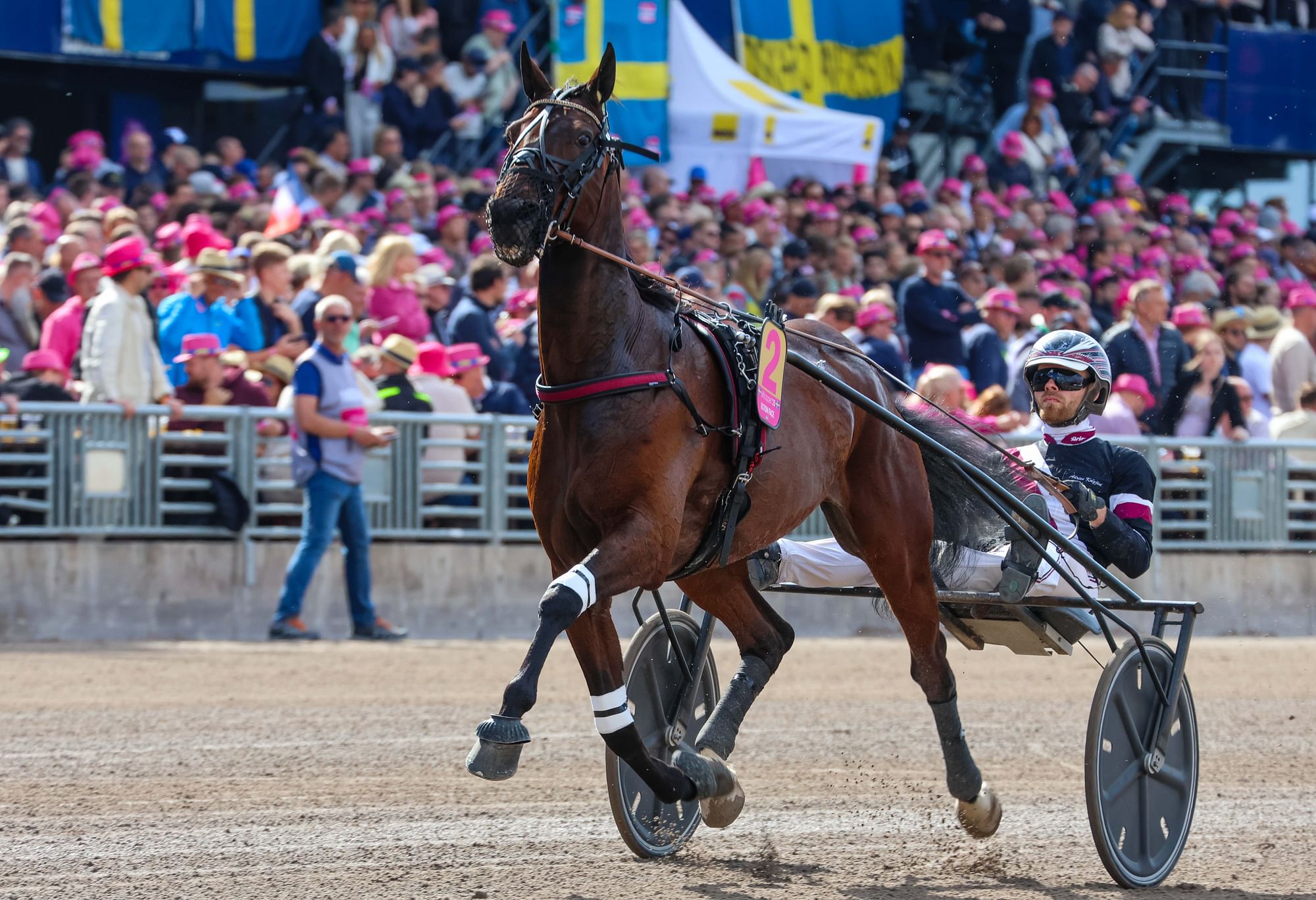 Ultion Face oli mukana toukokuun lopulla Elitloppetissa.