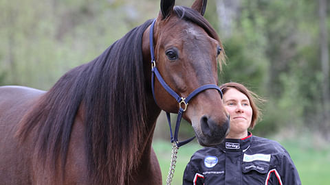 Pitkäaikainen hevosenhoitaja Suvi Himanka vaihtaa alaa – "Aikani täällä on täynnä"