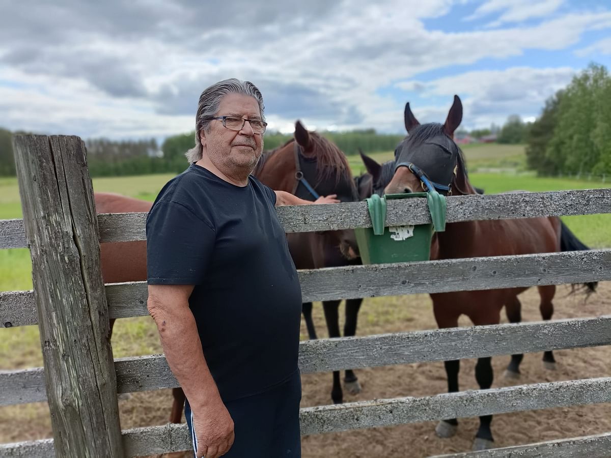 Peter Forsström on harrastanut hevosia yli 50 vuotta.