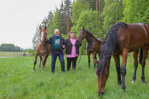 Paula ja Pekka Lähteinen kasvattavat molempia rotuja. Helun Hurma ja Treizieme Jour ovat kotitallin siitostammoja.