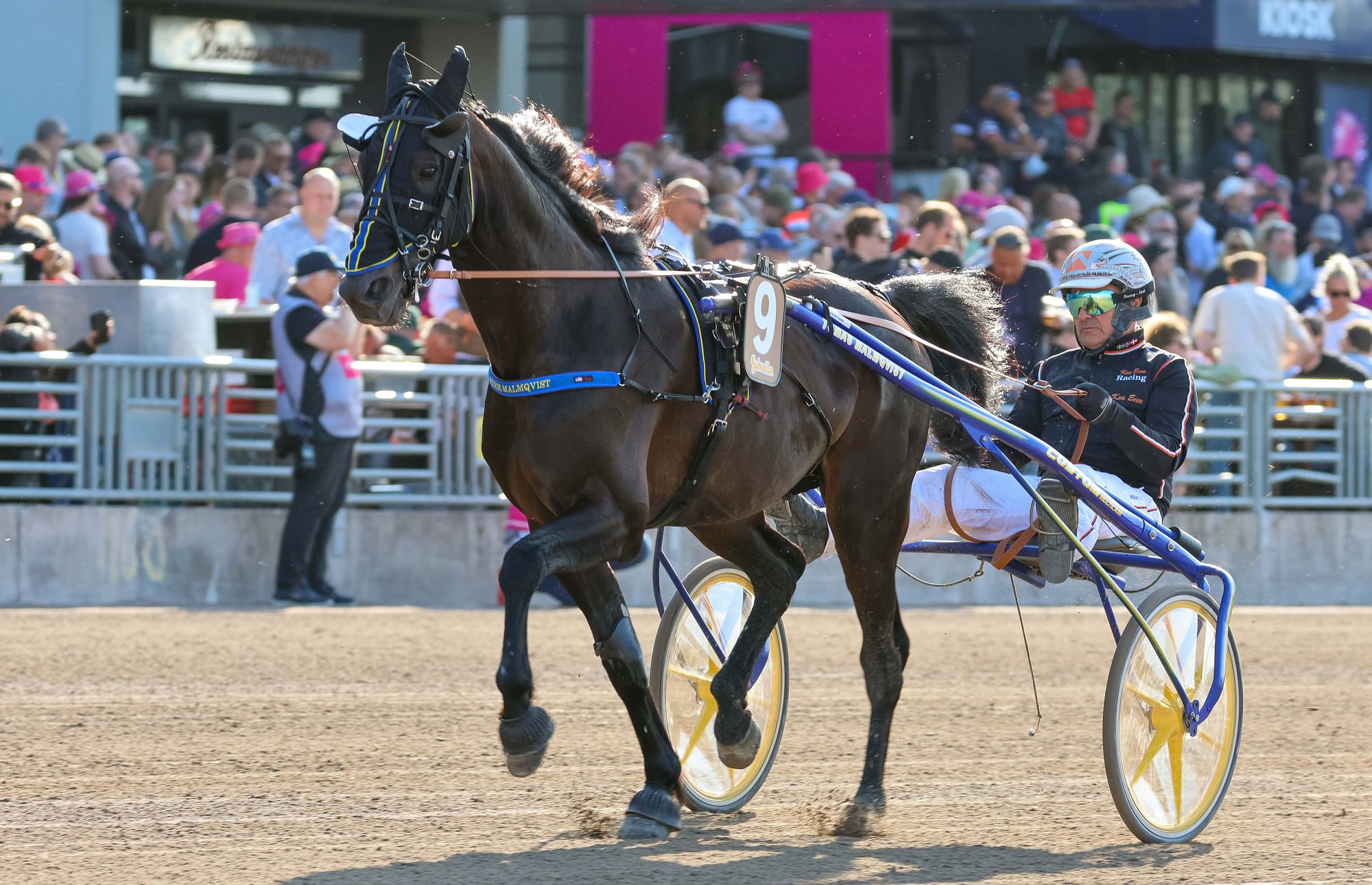 Calle Crownin edellisstartti oli Harper Hanoverin lähtö.