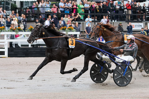 Run For Royalty veti Antti Teivaisen ajamana arvokkaaseen ykköstilaan. 