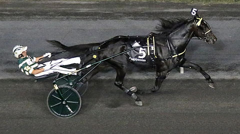 Yannick Gingras voitti Hambo-karsinnan "istuen" Celebrity Bambinolla ajalla 08,9. 