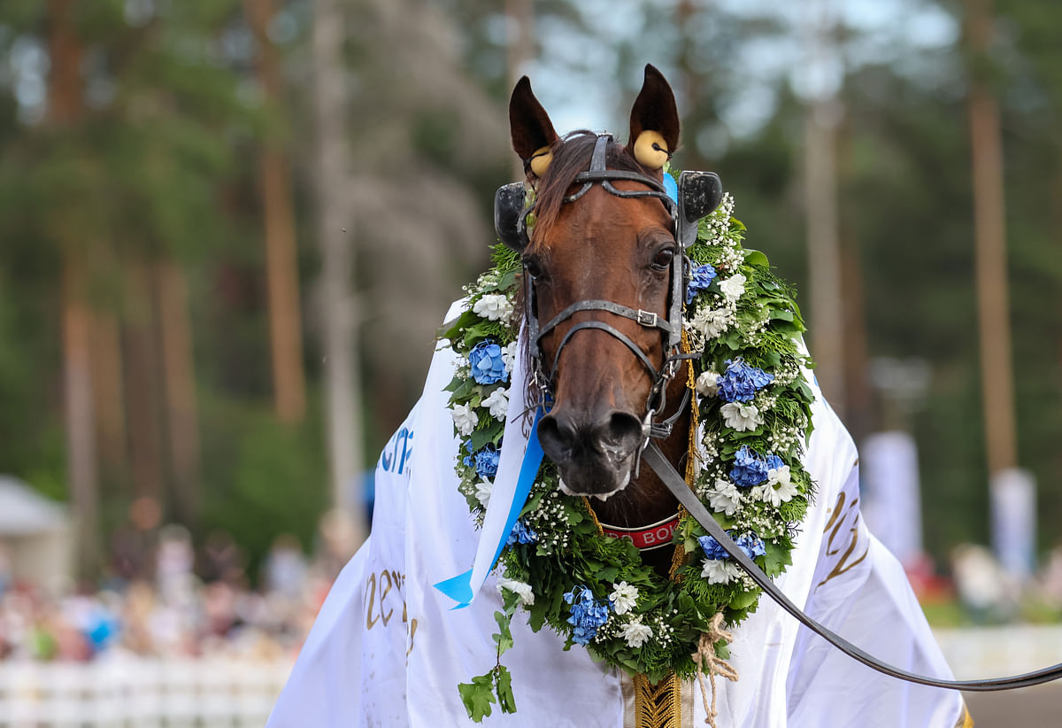 Hierro Boko oli jo kolmas St Michelin 2020-luvulla voittanut suomalaisomisteinen hevonen. Voittoaika 08,3aly oli nopein koskaan Suomen kaviourilla juostu aika.