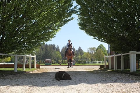  Teddy, Terhi Stegars ja GP-ori Quantum. 