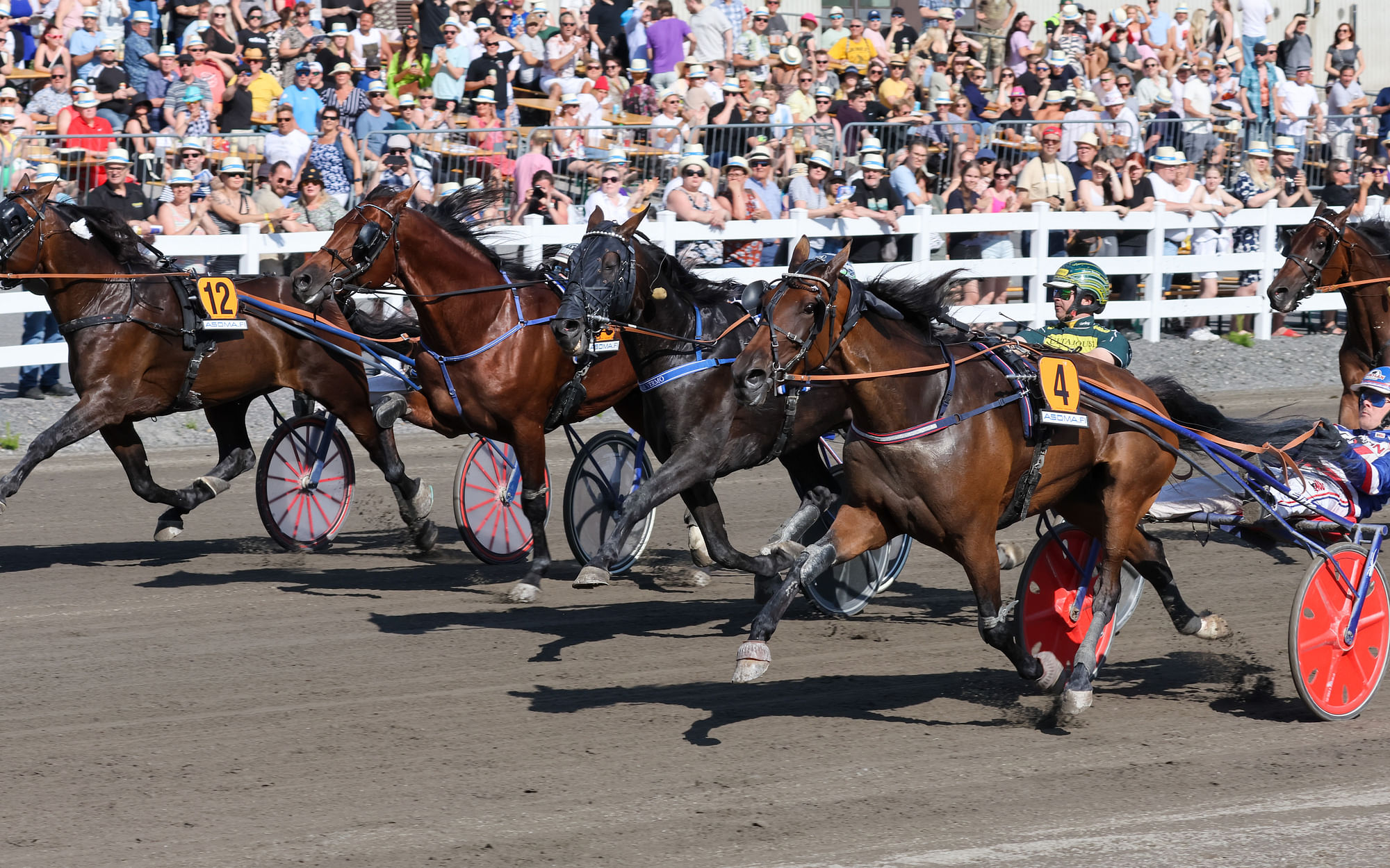 Harri Koivusen valmentama Goodygoodytwoshoes venytti pronssidivisioonakarsinnan parhaaksi ajalla 11,3aly.