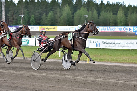 Jixy-ajon voittaja Endless Storylla tähdätään seuravaaksi Tammavaltikkaan.