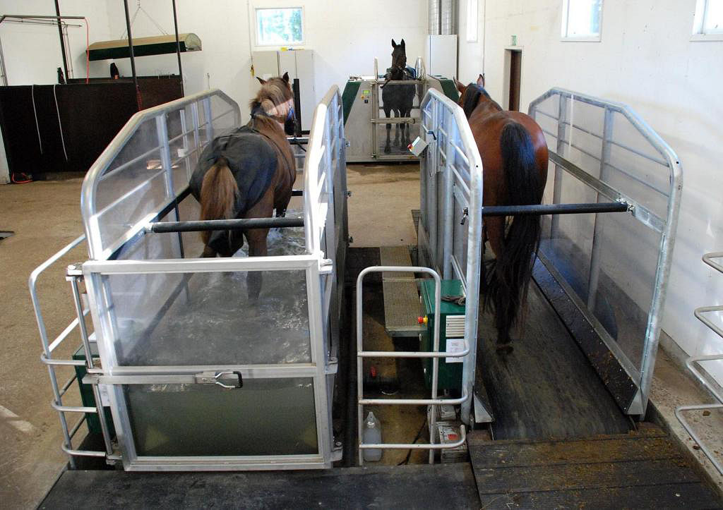 Kruunupyyn hevoskuntoutuskeskuksessa luotettiin laitteisiin. Kuvassa on kävelymaton lisäksi myös vesi- ja tärinämatto.