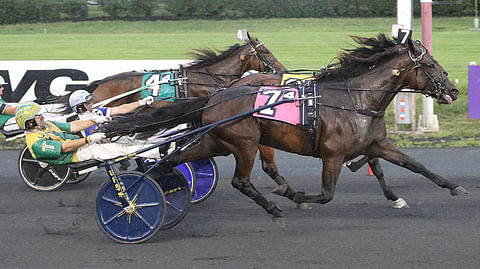 Tim Tetrick ja Heaven Hanover veivät Delvin Miller-divisioonan voiton turvan mitalla ennen Rose Run Yolandaa ja Bondia. Kuva: HU arkisto