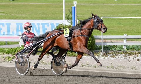 Ravihevonen Lightning Stride rattaillaan Santtu Raitala