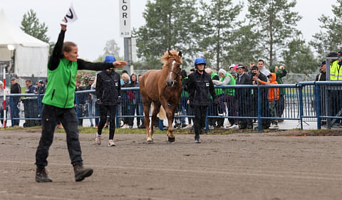 Huutokaupan kallein varsa oli Wega Pointti, josta maksettiin 21 000 euroa (+alv)