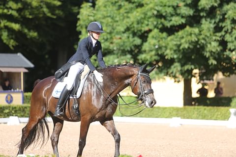 Maastoilua ja rentoilua Grevens Zorro -hevosen kanssa.