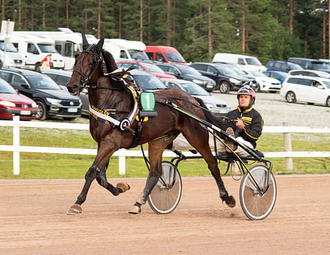 Matti Nisosen tallin hevoset kulkivat Kajaanissa upeasti. Kuvassa Diamond Combo.