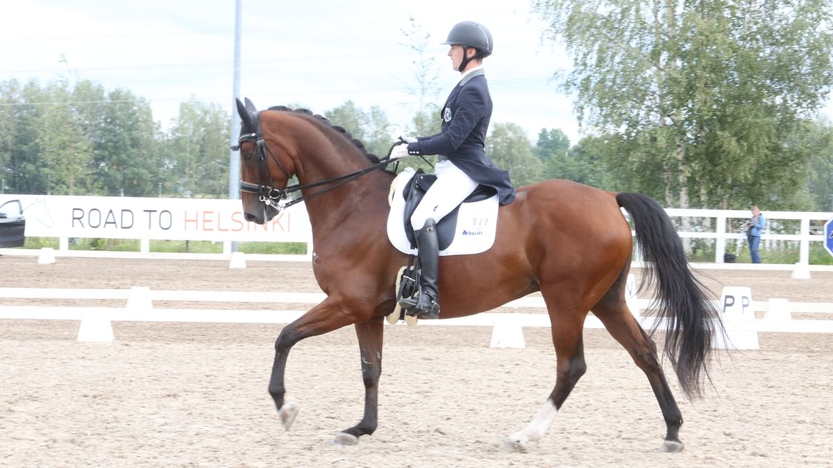 Ville Vaurio ja G-Star tänään keskiviikkona kohti Saksaa. Mukana on sekä plan A että plan B. Kuvassa Dante NL, jolla Vaurio ratsasti voiton viime sunnuntaina. 